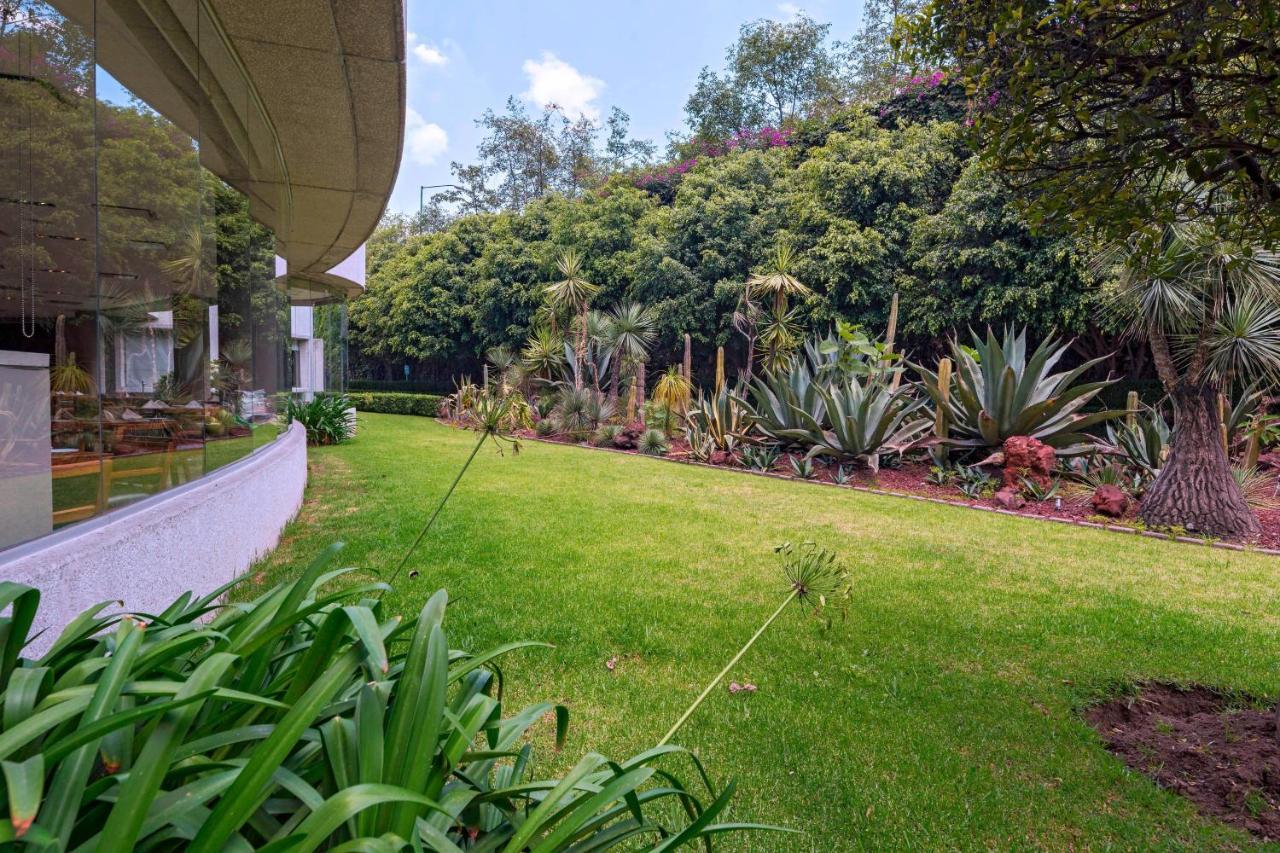 Sheraton Mexico City Santa Fe — Fotos 3